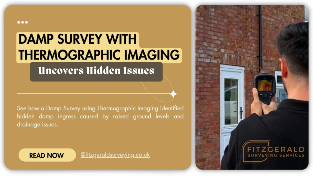 Damp survey with thermographic imaging