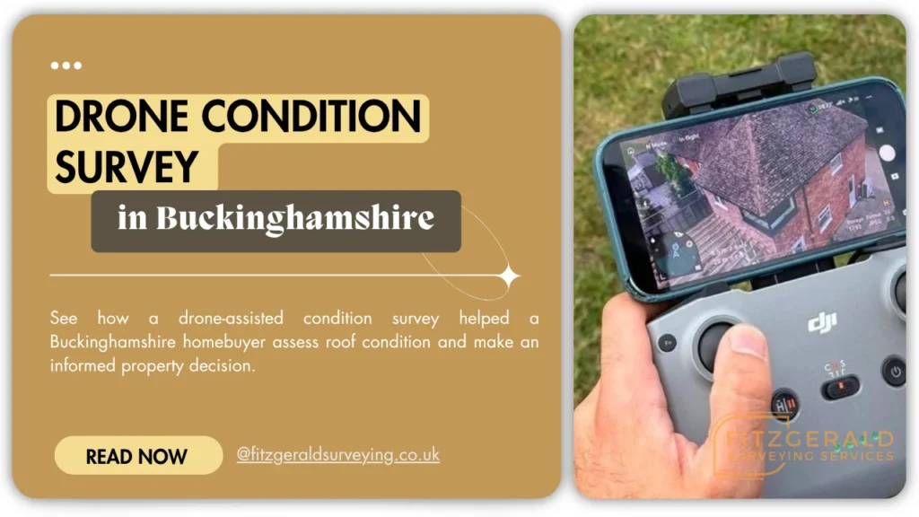 Drone condition survey