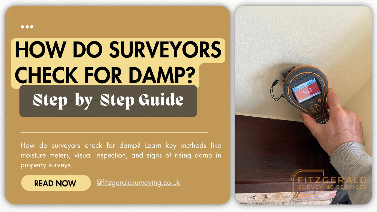 how do surveyors check for damp