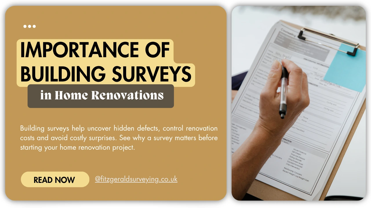 Importance of Building Surveys in Home Renovations