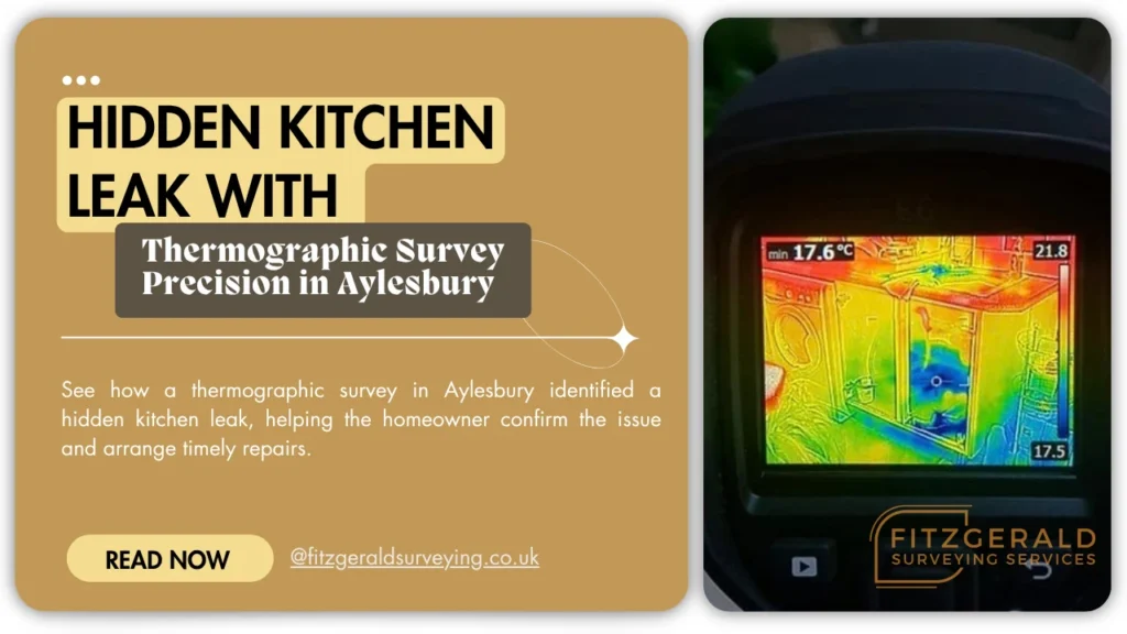 Thermographic survey case study