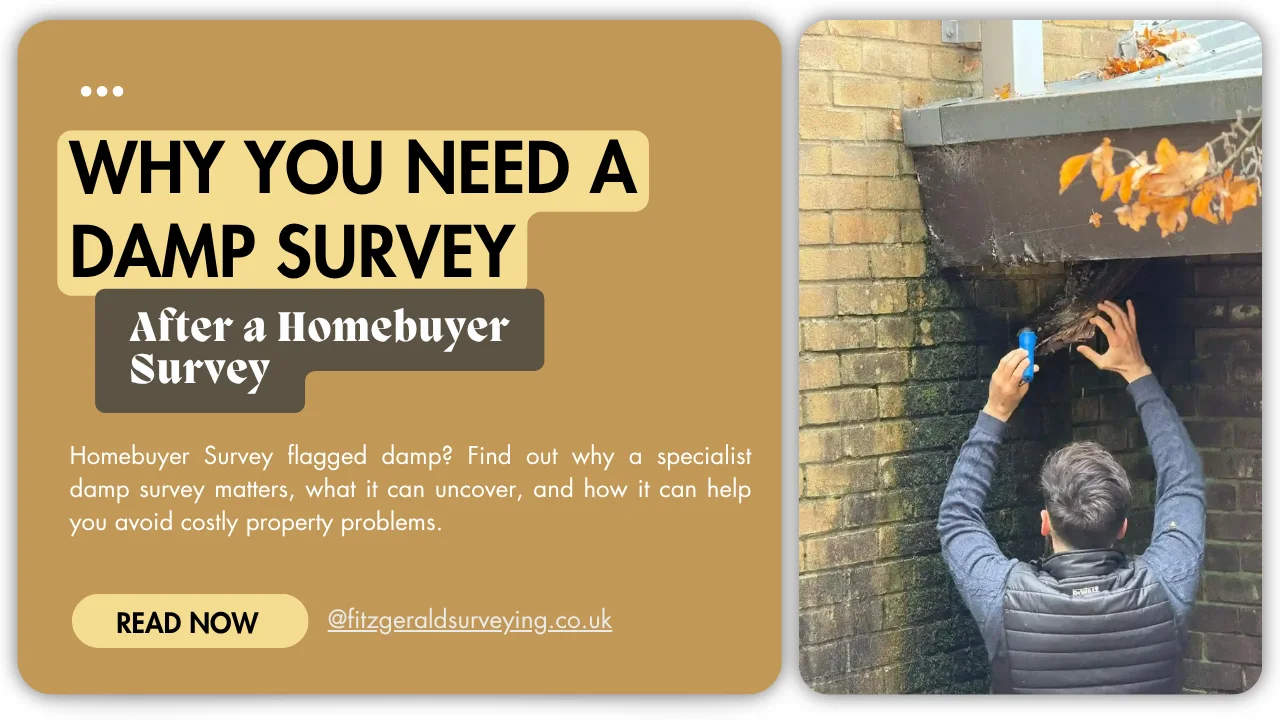 Why You Need a Specialist Damp Survey After a Homebuyer Survey