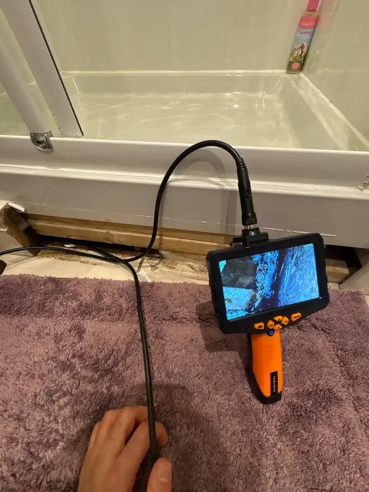Mould Inspections