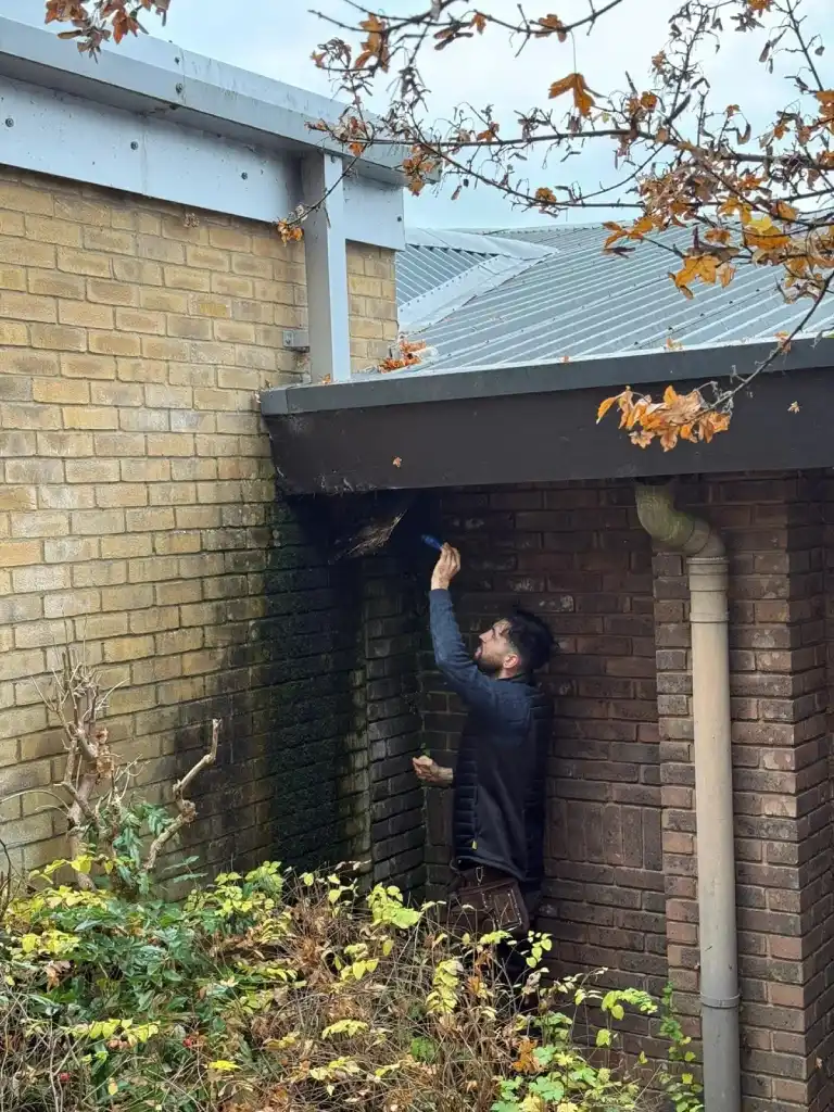 rics home buyers surveys