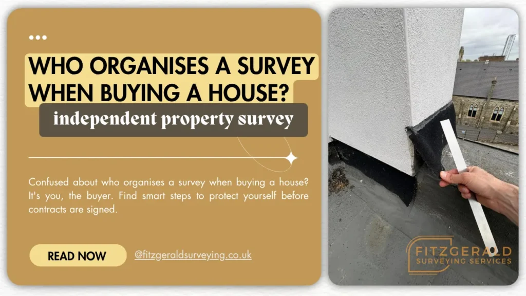 who organises a survey when buying a house