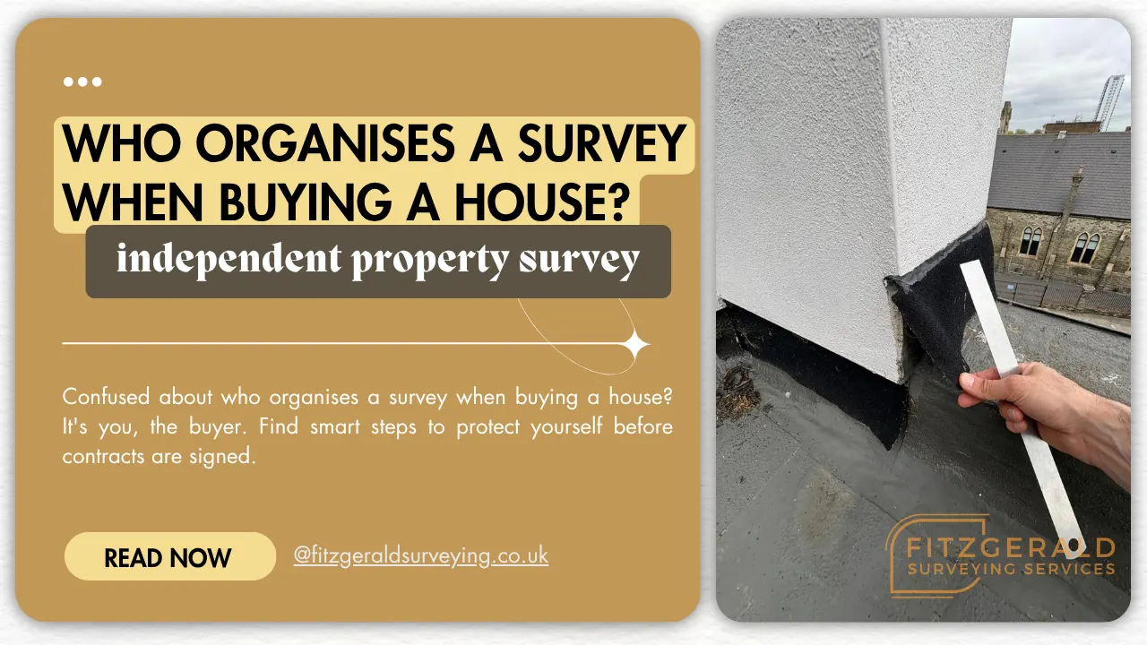 who organises a survey when buying a house