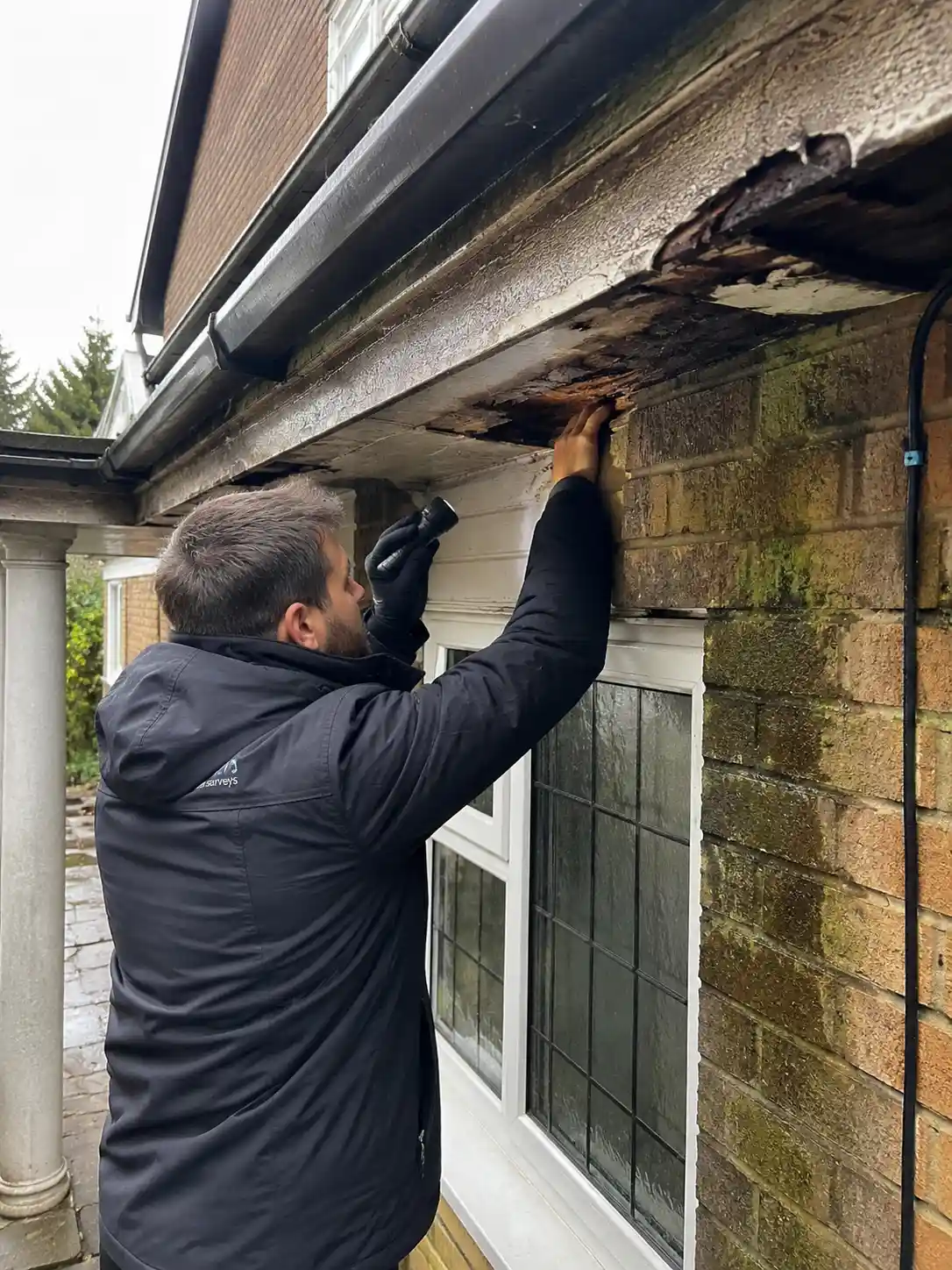 Mould & Condensation Survey