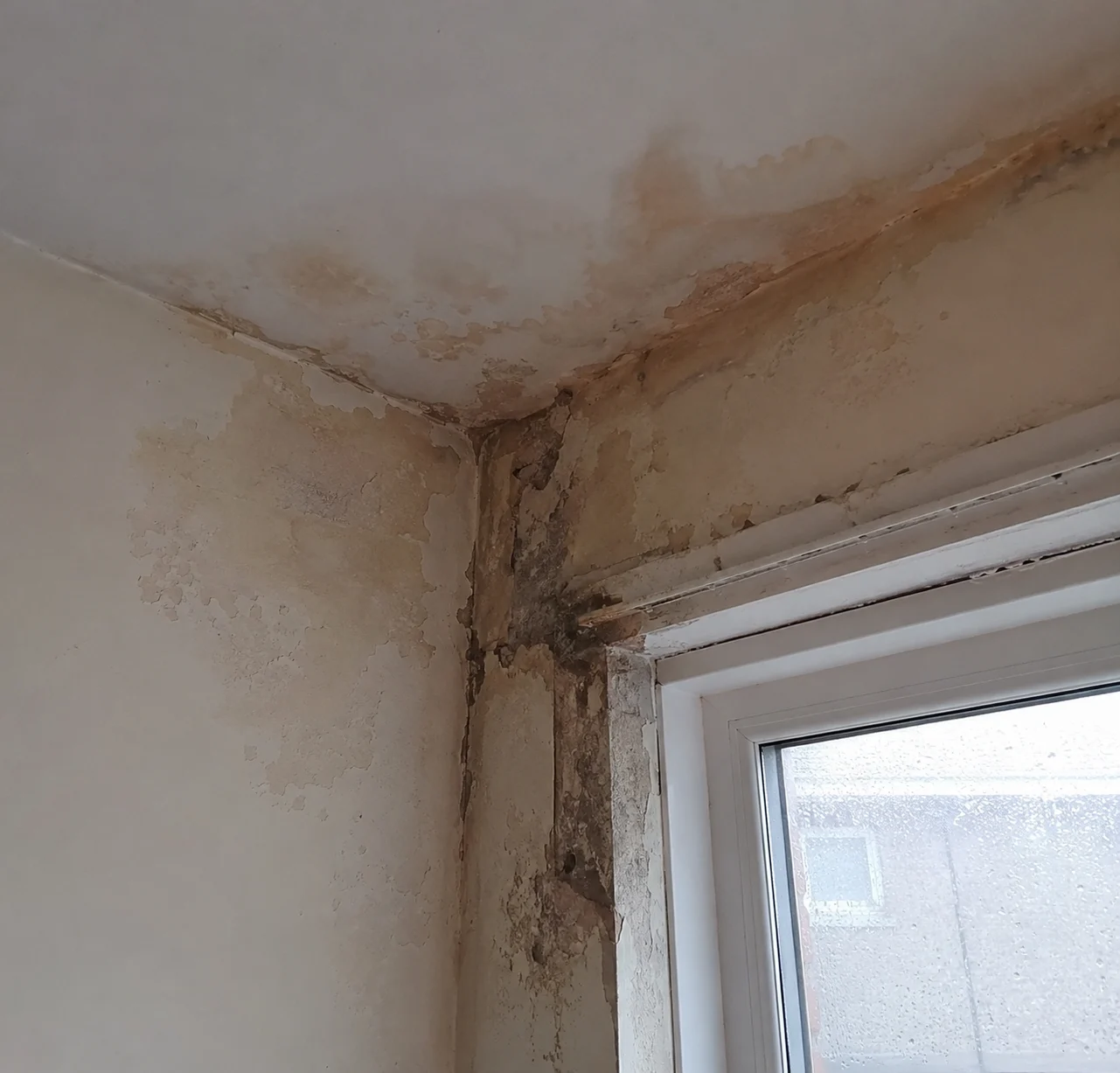 Penetrating Damp Survey