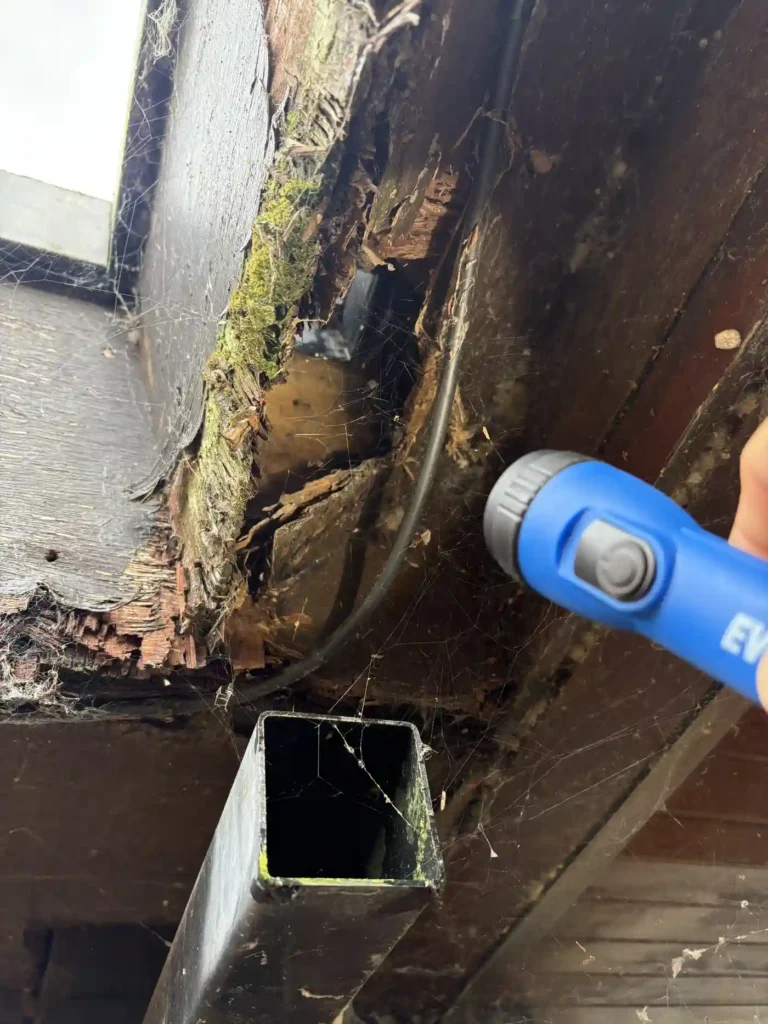 What's Included in Your Damp Surveys Report