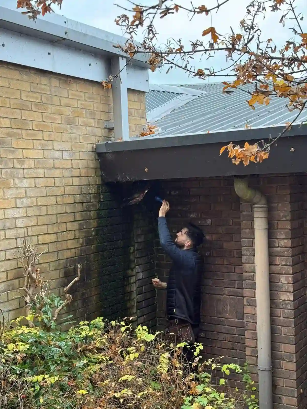 Why Choose Our Damp Survey Experts