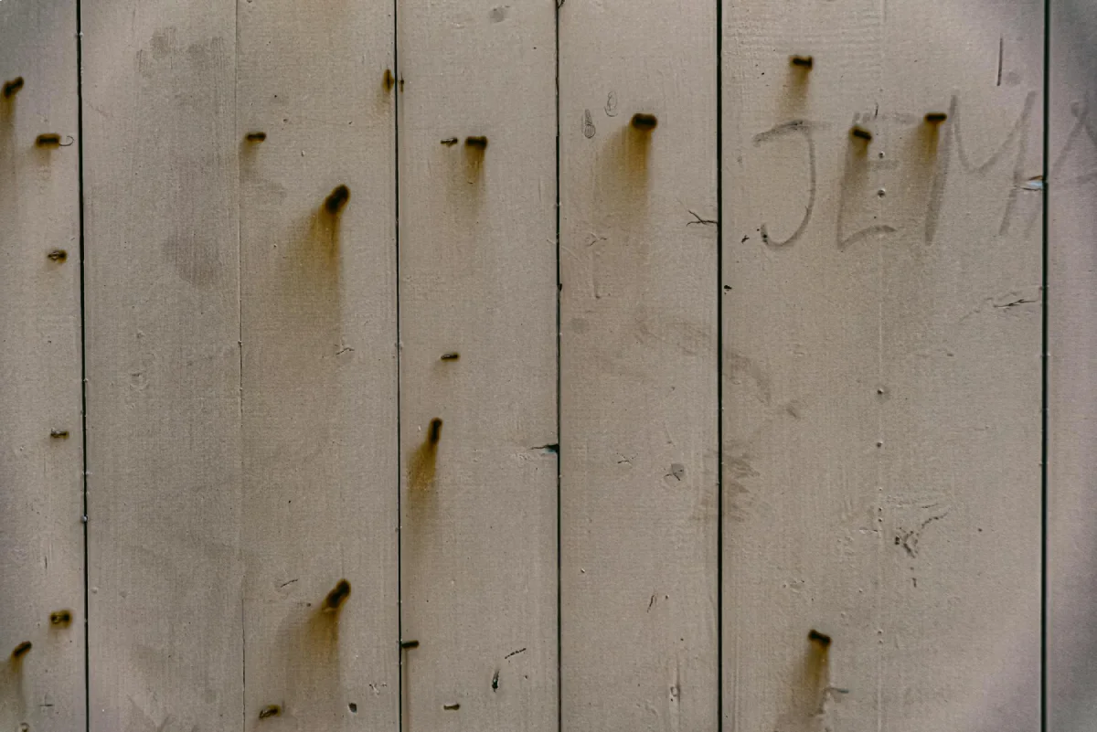 Woodworm Survey