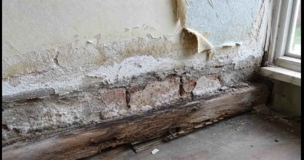 Clear guide explaining what rising damp is and the common signs to look for, including damp patches, peeling paint, salt deposits and damaged skirting boards.