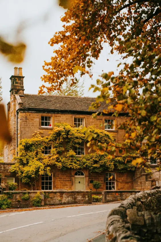 Historic stone cottage covered in golden autumn ivy, suitable for a level 3 building survey, homebuyer survey, or condition survey.