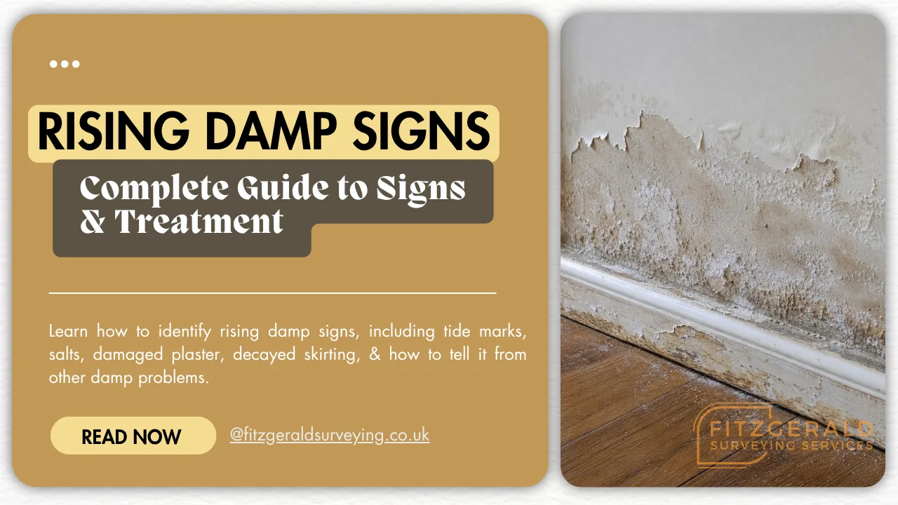 Rising Damp Signs
