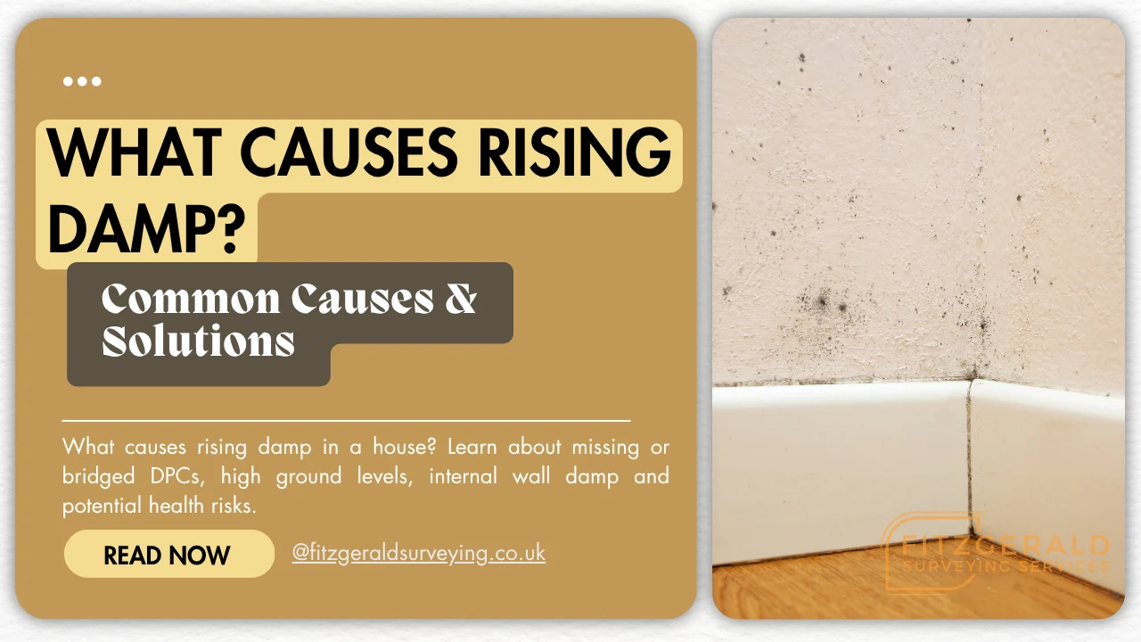What Causes Rising Damp