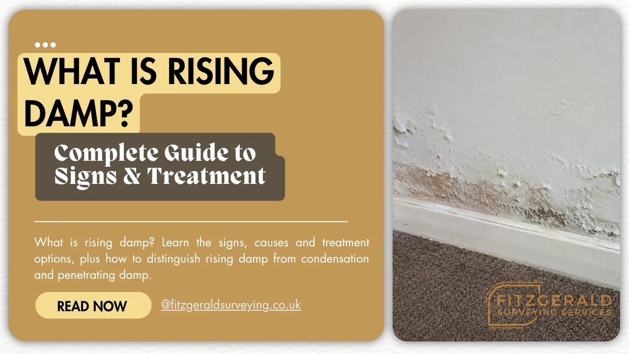 What Is Rising Damp