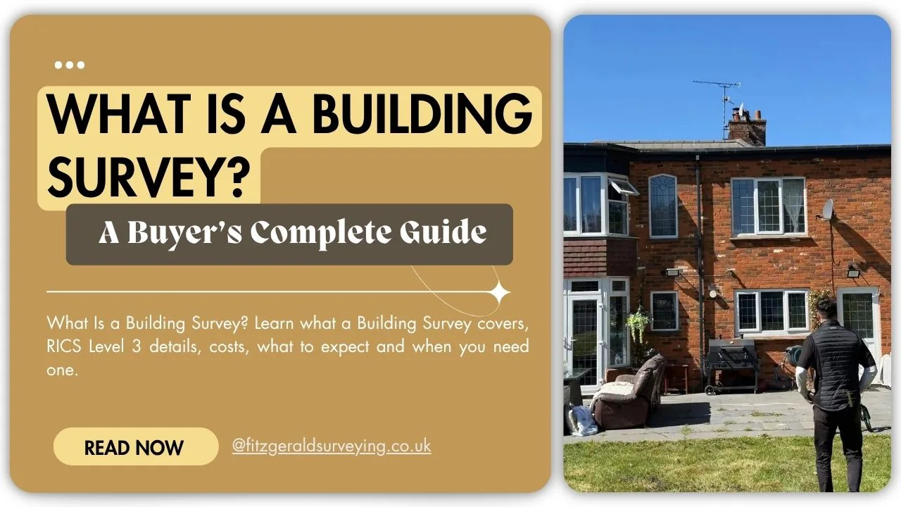 What Is a Building Survey