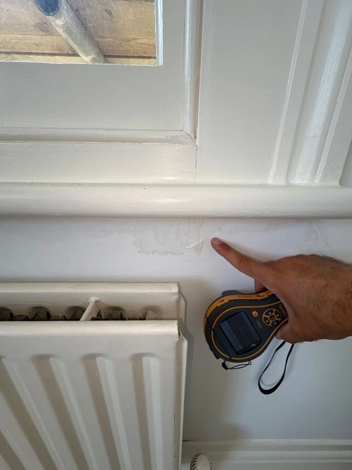 Internal damp detection below window sill protimeter survey