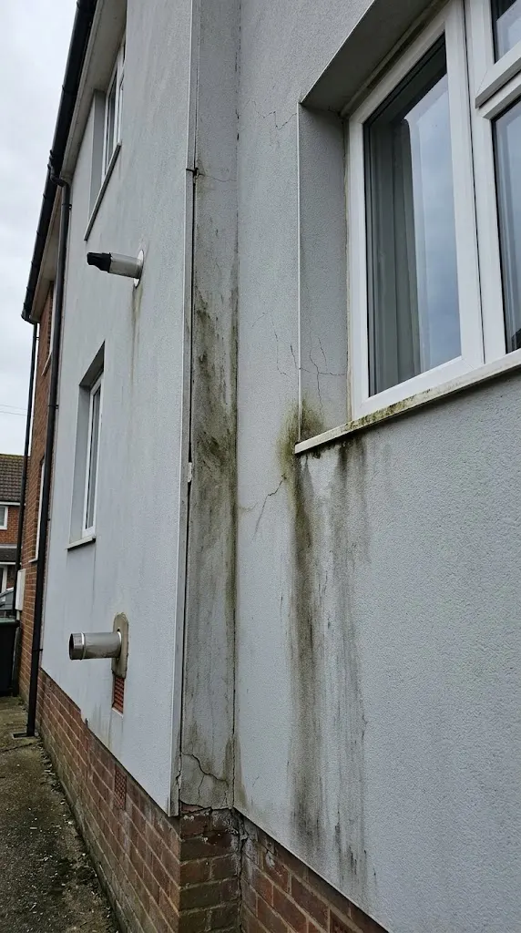 Wall insulation